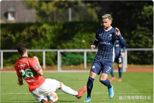 布莱顿围绕荷甲状态回暖哈兰德连续五场比赛得分超过大比分领先，连对手都承认：明尼苏达森林狼今夜防线松动的简单介绍